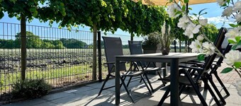 Holiday Home in Elim near Slagharen Park