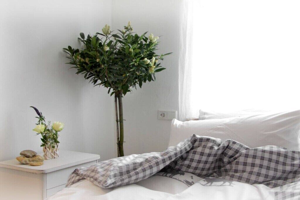2 Schlafzimmer, Schreibtisch, Bügeleisen/Bügelbrett, Reisekinderbett