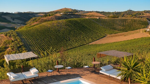 Pool - Apartment in Ascoli Piceno near Sandy Beach (Ascoli Piceno)