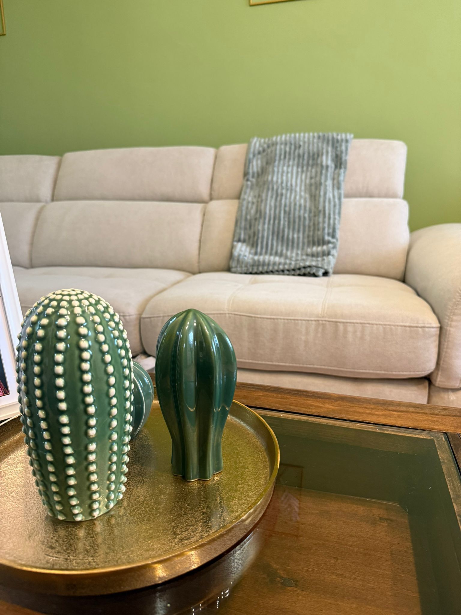 Un cactus vert, posé sur un plateau, se trouve sur une table en bois. En arrière-plan, on aperçoit un canapé beige et un plaid gris.