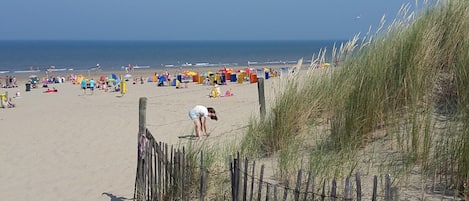 Plage à proximité