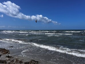 Une plage avec des vagues, des algues et un ciel dégagé.