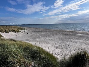 Ein Strand mit blauem Himmel, sandigem Ufer und grünen Dünen.