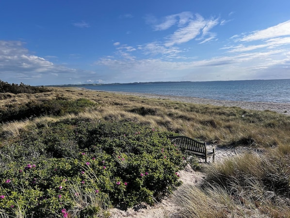 A coastal landscape with a bench, grassy dunes, and a view of the sea.