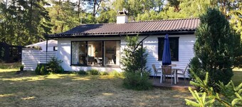 Cozy and updated house on large private lot