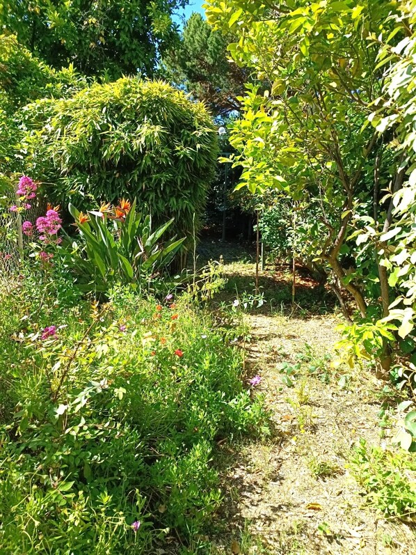 Jardines del alojamiento