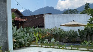 Una piscina con borde de hormigón, rodeada por un jardín con diversas plantas y un muro blanco al fondo.
