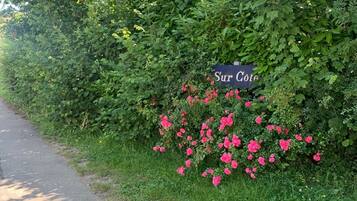 Terrein van de accommodatie