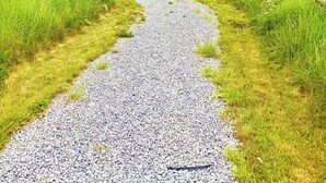 A gravel path leading to a small wooden structure in a grassy field. - Paulton - Sleeps 2 - Petfriendly - Hottub - Garden (Bristol)