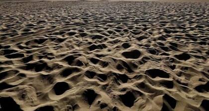 Villa des Oyats - Contis Plage