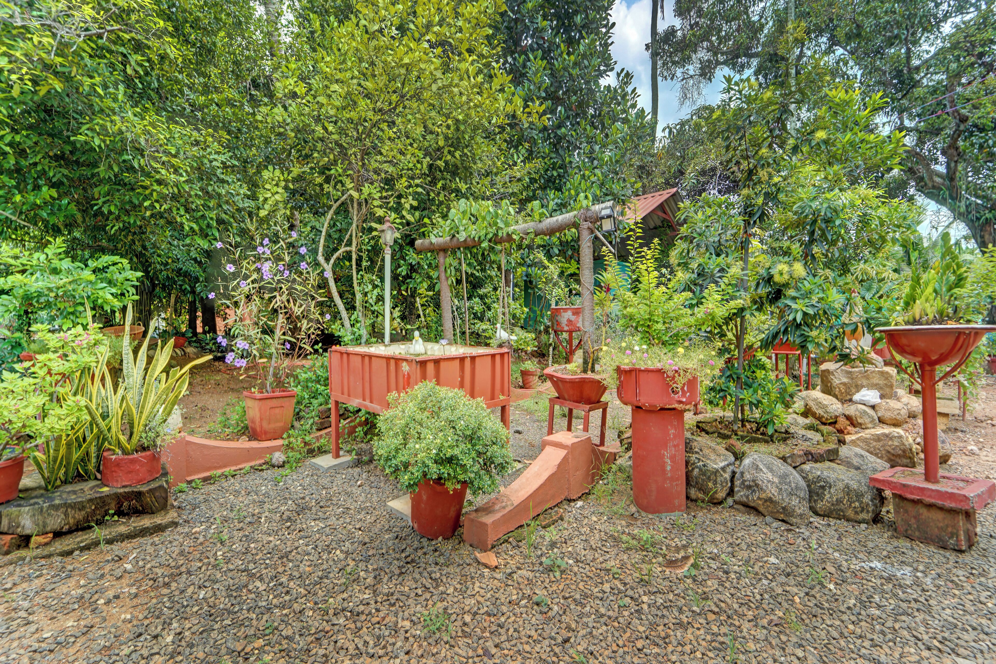 Un jardín con diversas plantas en macetas y una pequeña estructura de madera.
