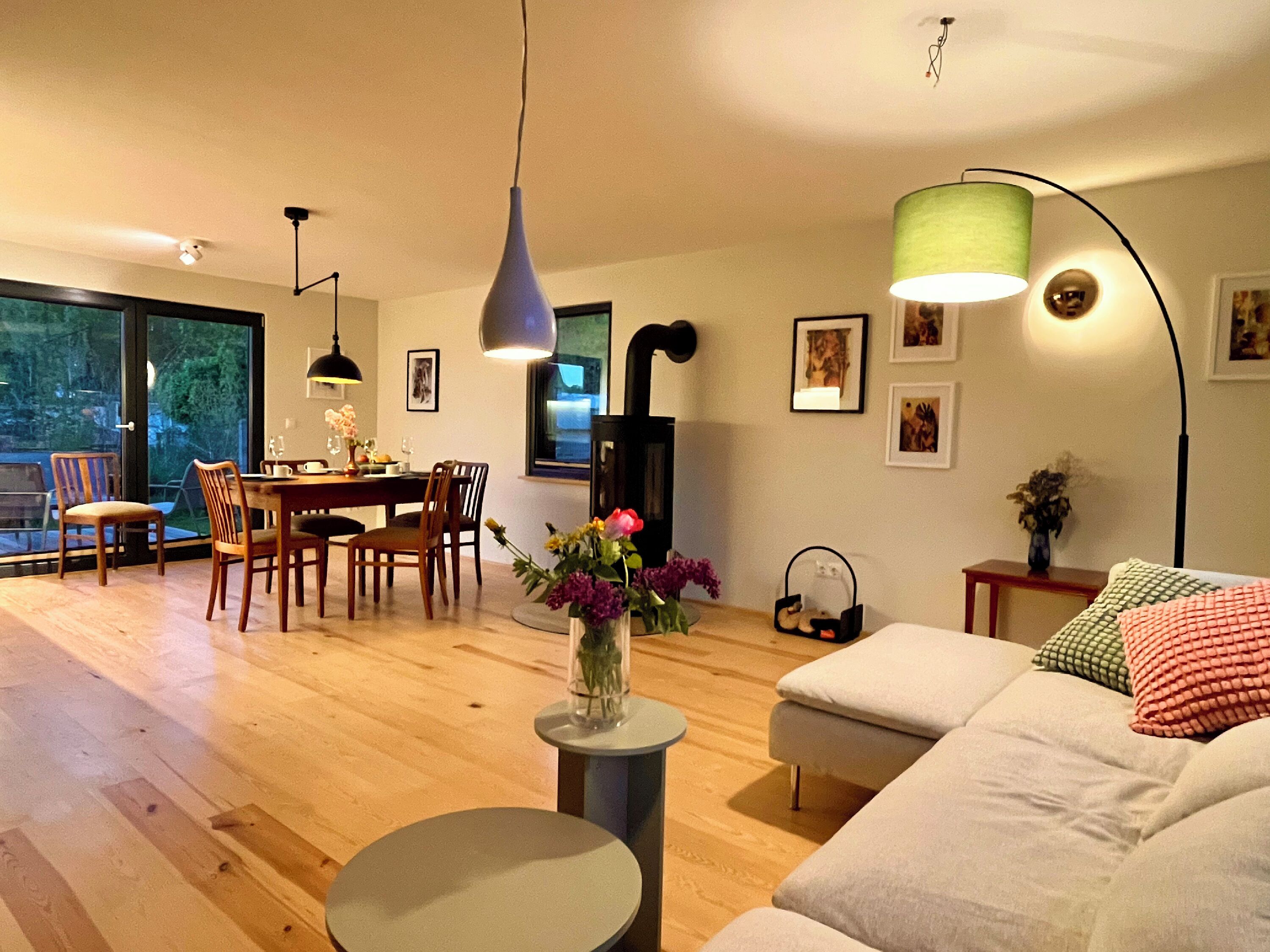 Smart-TV, Kamin