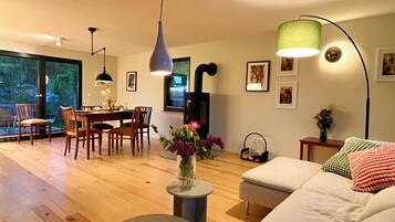 Smart-TV, Kamin