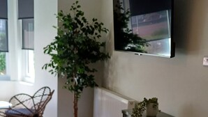 Een kamer met een wandgemonteerde flatscreen-tv, een potplant, een rieten stoel en een kleine tafel.