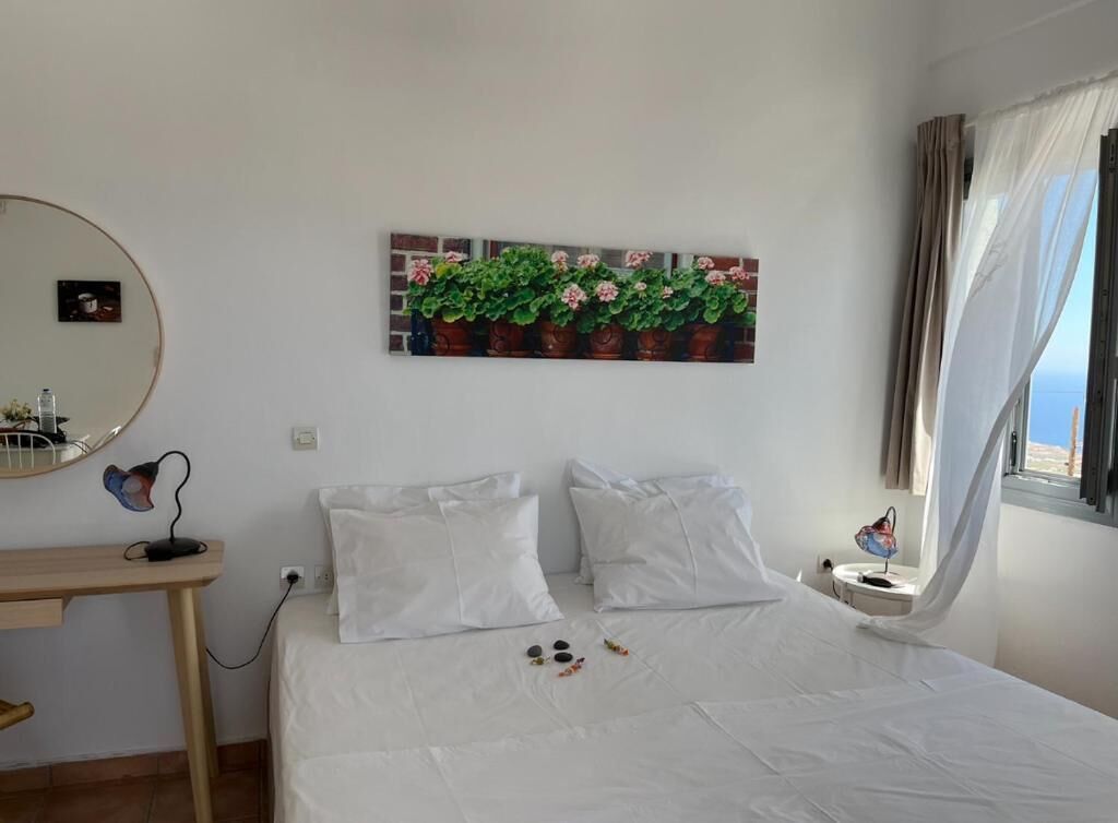 Quarto com cama, escrivaninha, espelho, planta suspensa na parede e janela com cortinas.