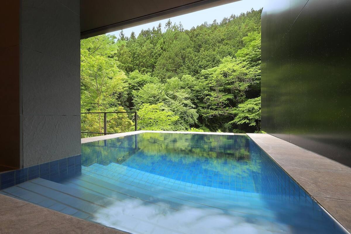 An indoor swimming pool with a view of a forested hillside.