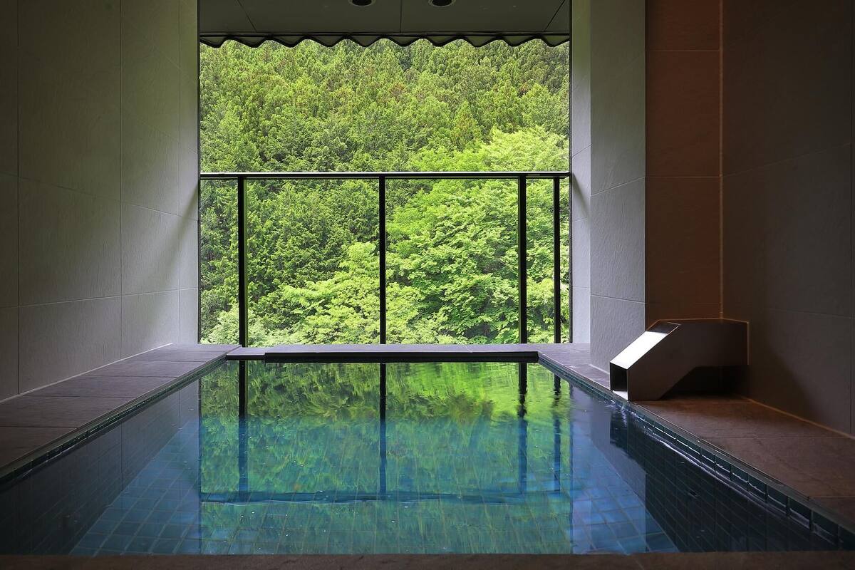 A swimming pool with a view of a dense forest through a large window.