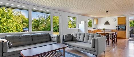 TV, peis og DVD-spiller