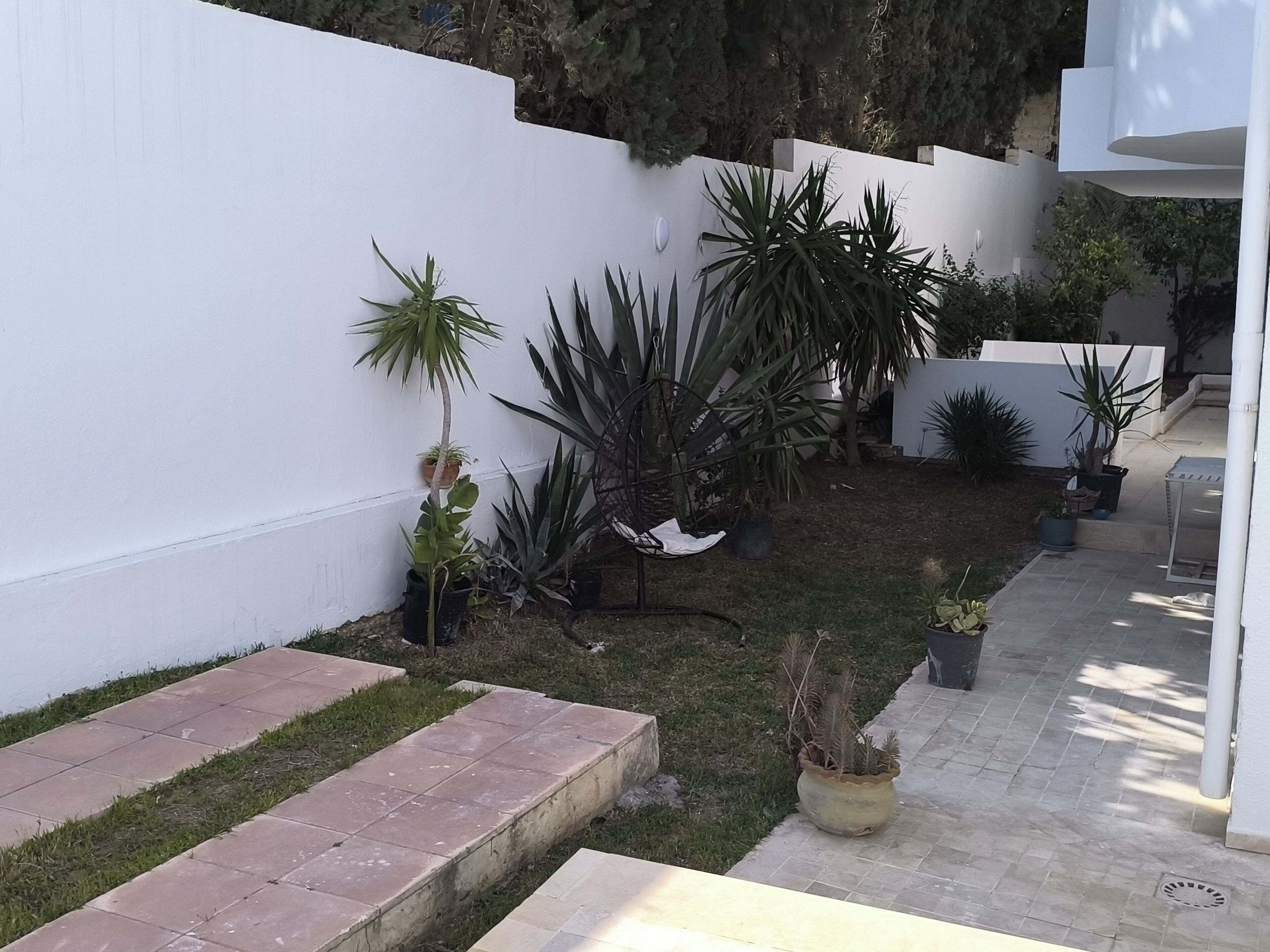 A courtyard with potted plants, a white wall, and a tiled pathway.