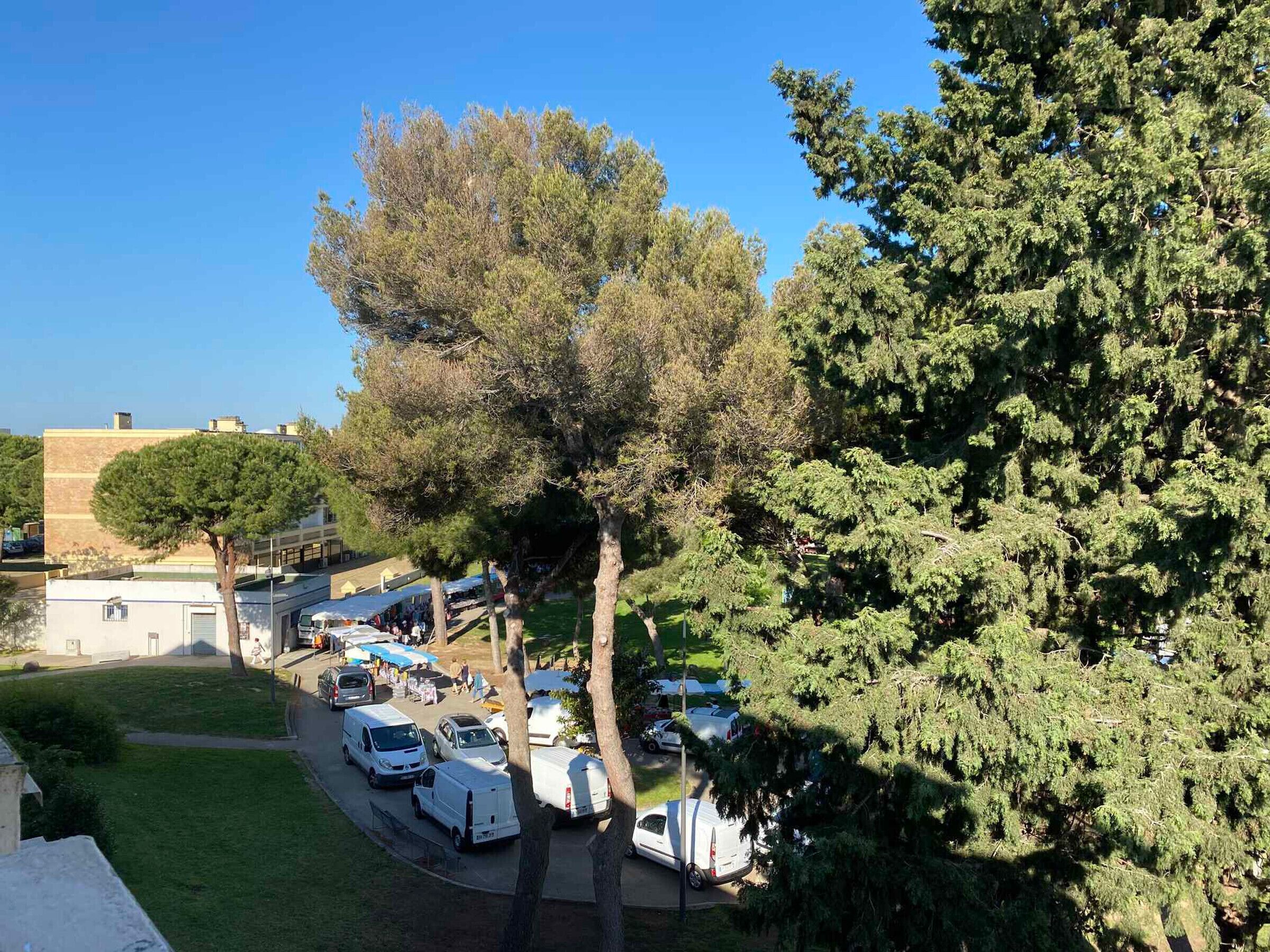 Un espace de stationnement où sont garés des camping-cars et des voitures, entouré d’arbres et d’immeubles.