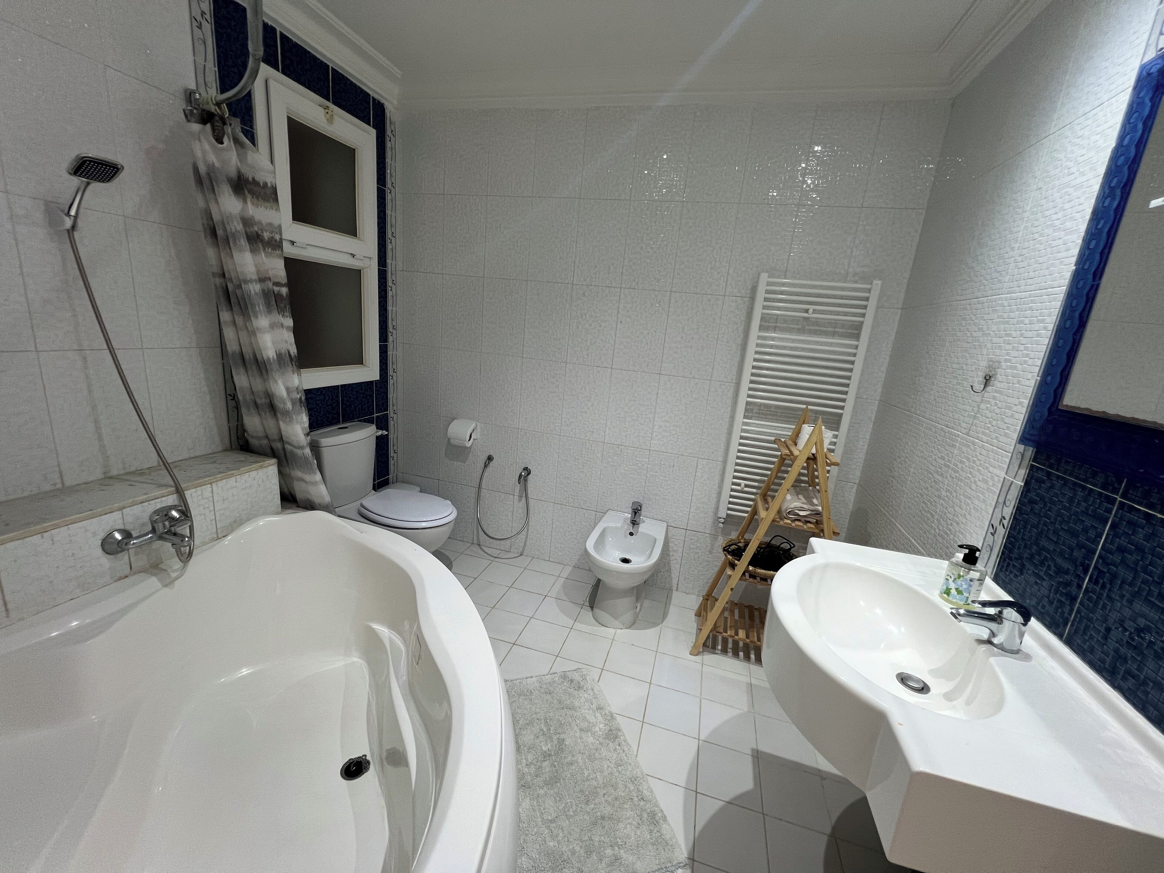 Asciugacapelli, bidet, asciugamani, sapone