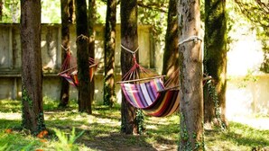 A hammock suspended between trees in a forested area. - Eco cottages (Tsqaltubo)
