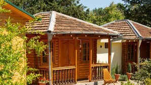 A wooden cabin with a tiled roof, a porch with a railing, and potted plants. - Eco cottages (Tsqaltubo)