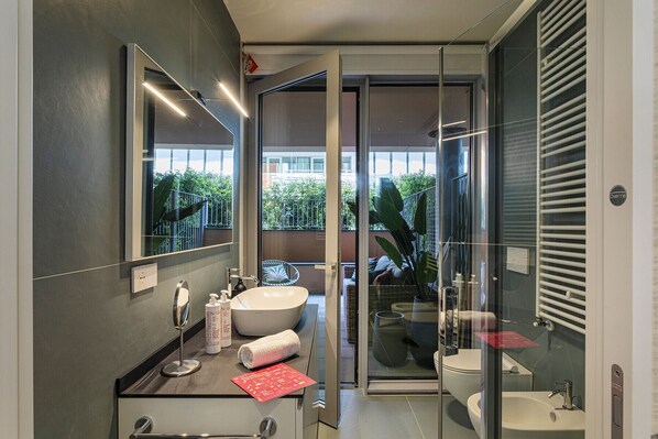 Shower, hair dryer, towels