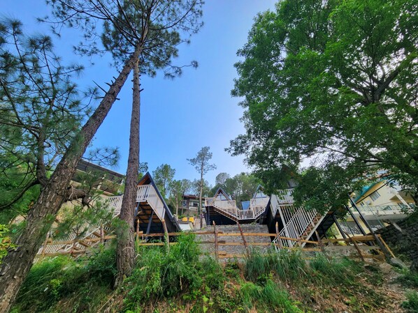 Exterior - Musical Paradise Kasauli (Kasauli)