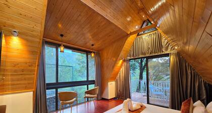 Musical Paradise Kasauli