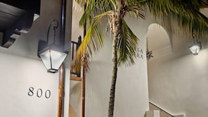 A hallway with a palm tree, a staircase, and a wall with the number 800. - Casa Riviera 6 - Boutique Suites (Santa Barbara)