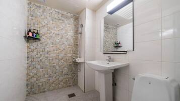 Hair dryer, towels, shampoo, toilet paper