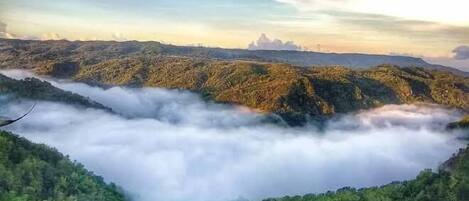 A person standing on a wooden platform overlooking a valley with dense greenery and a layer of clouds below.