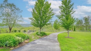 A paved pathway flanked by lush green grass and trees, leading to a distant view of hills. - Mountain Condo 2 Mi to Dtwn Banner Elk w/ Views! (Banner Elk)