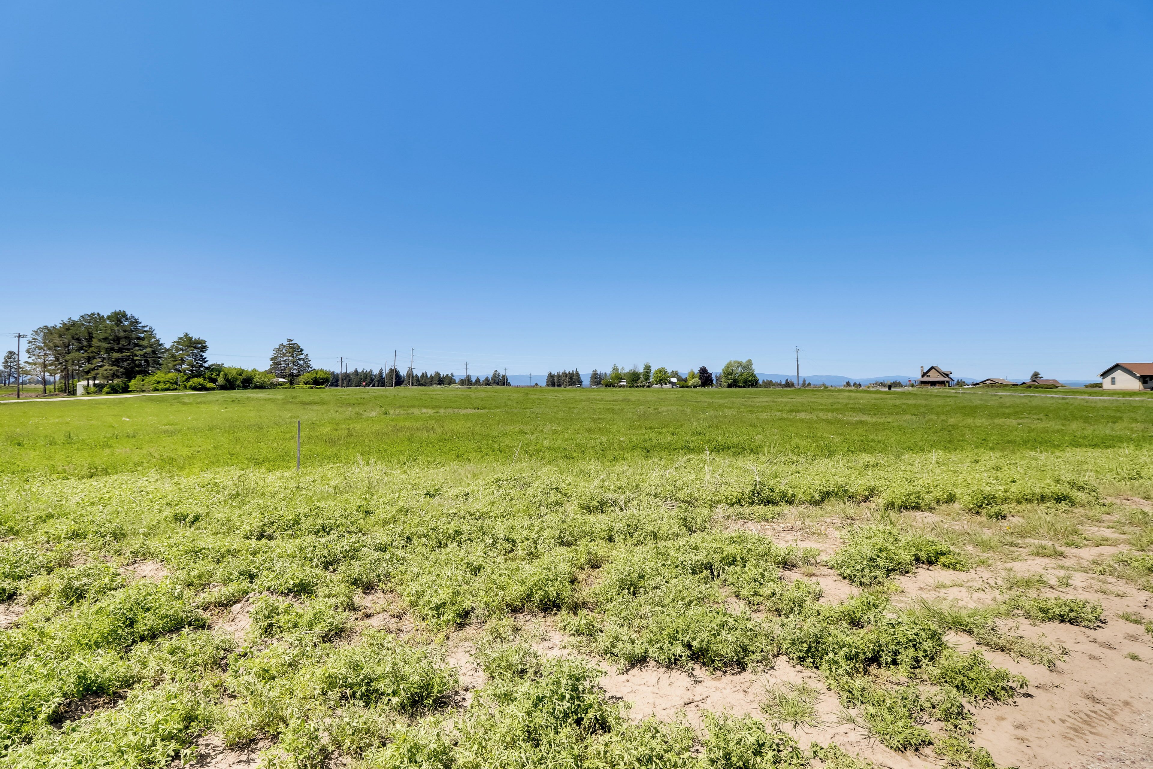 A large open field with sparse vegetation and a few buildings in the distance under a clear blue sky.