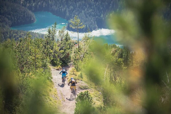 A mountain biking trail surrounded by dense forest and a lake.