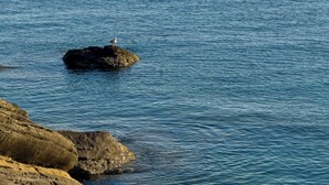 Un paysage côtier avec un promontoire rocheux et une mer calme.