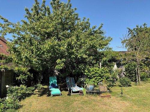 Large character house with wooded garden Obernai Alsace tourist town