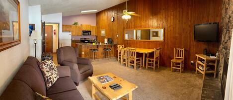 TV, fireplace, table football, books