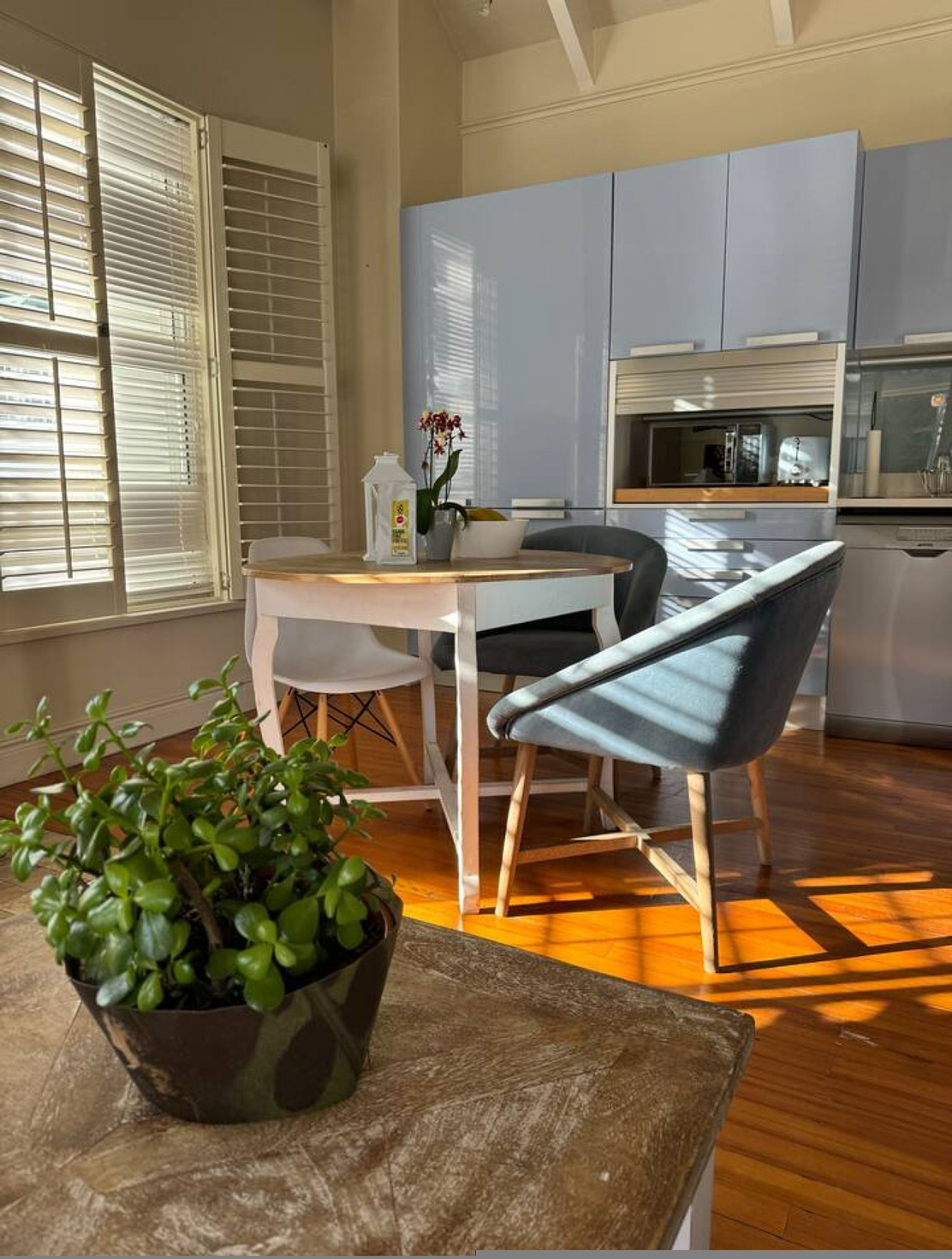 Een moderne keuken met een eethoek, met een tafel, stoelen en een potplant.