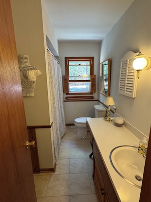 Shower, hair dryer, towels, soap - Cottage on N. Lake Leelanau, private, 175 feet of lakefront, near Leland & Dunes (Lake Leelanau)