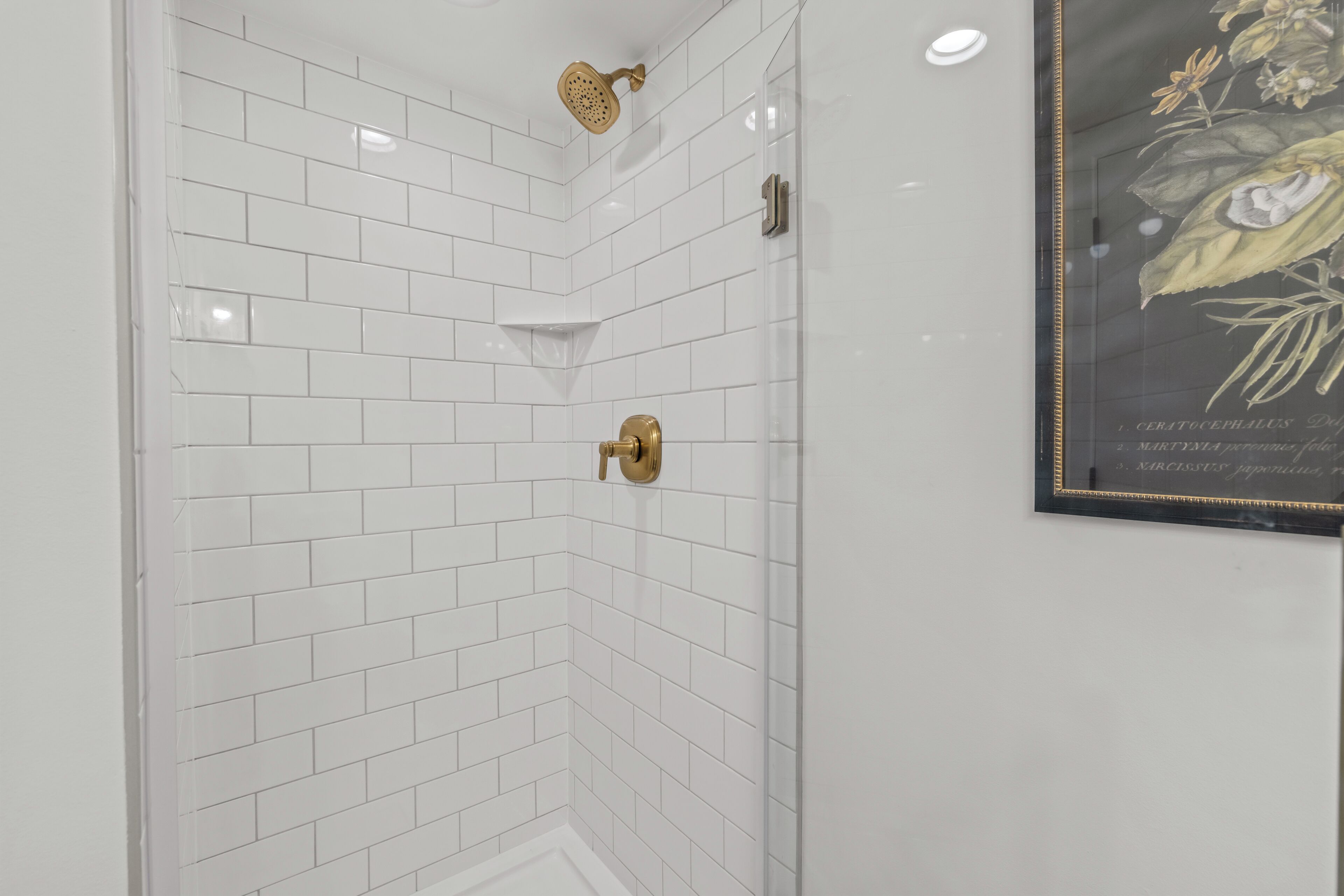 A corner shower with white tiled walls and a gold showerhead.