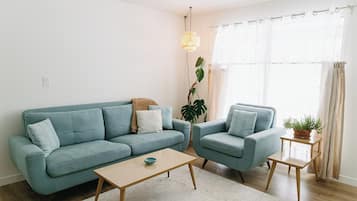 TV connectée, cheminée, livres, chaßne hi-fi