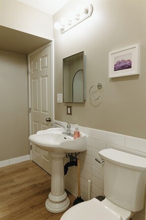 Hair dryer, towels, soap, shampoo