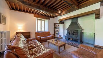 Smart TV, fireplace, books