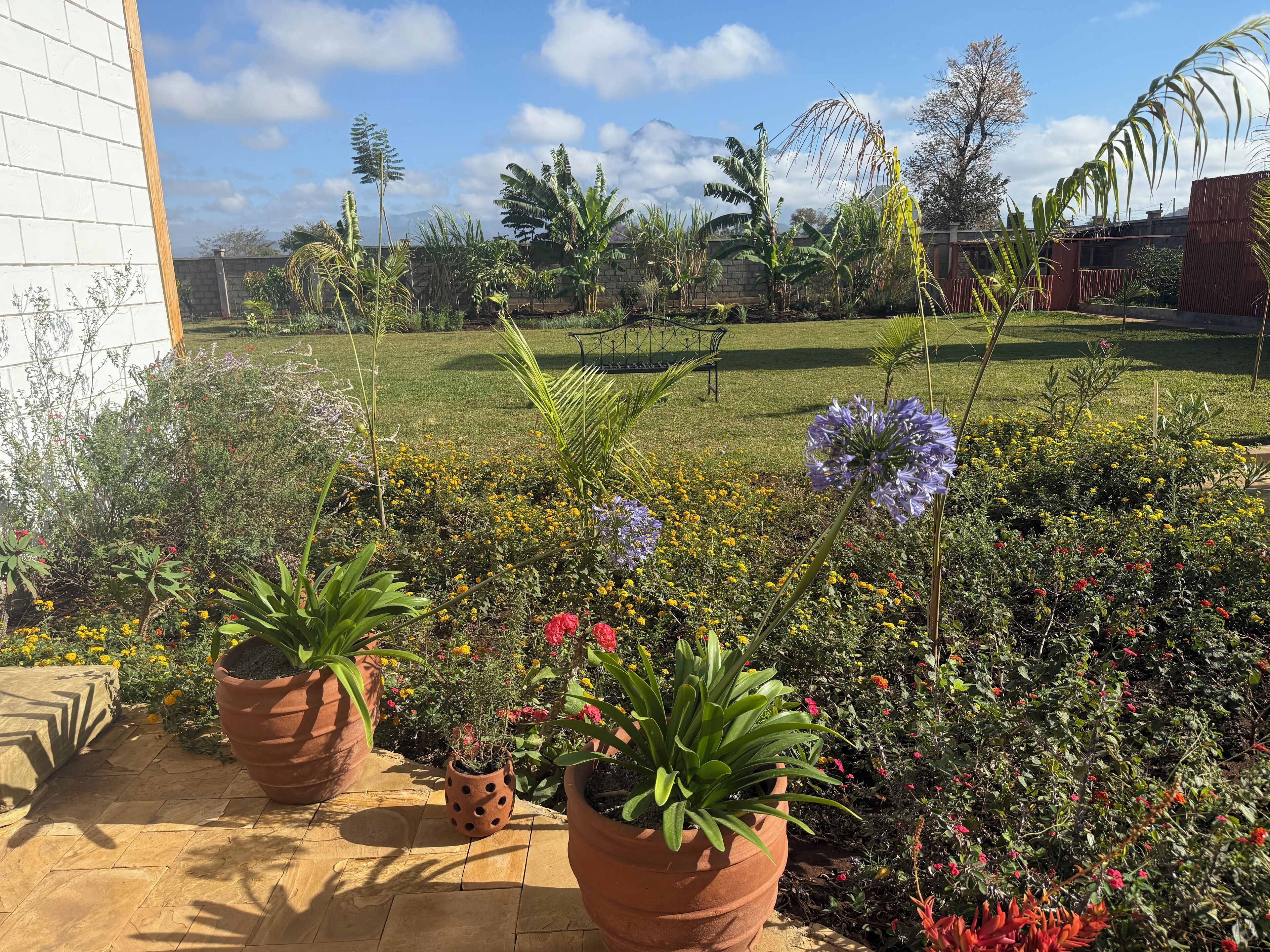 Superior Quadruple Room | View from room