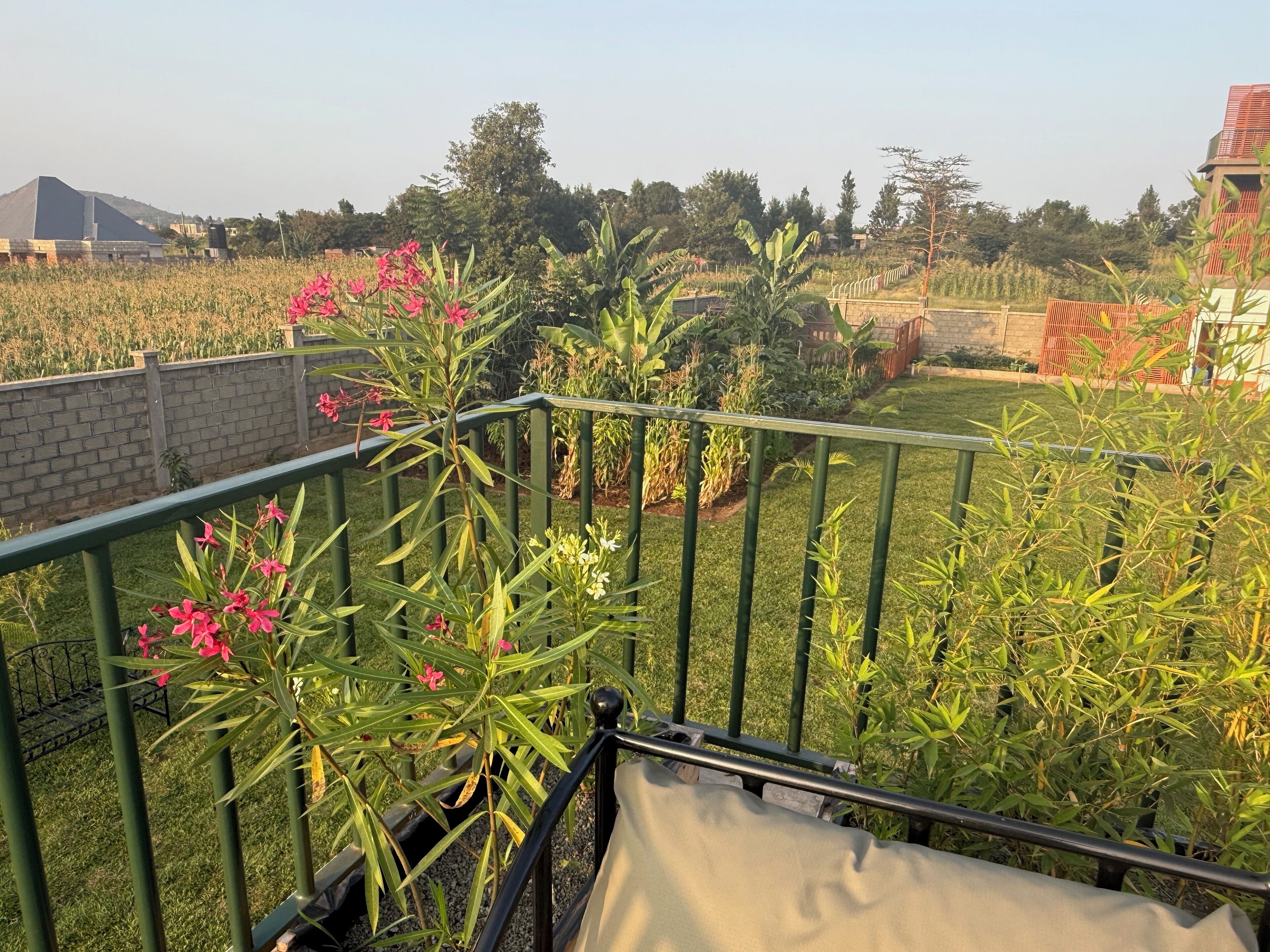A rooftop garden with green railings, various plants, and a view of a distant building.