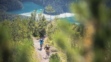 Apartment | Miscellaneous