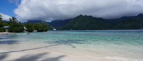 海滩
