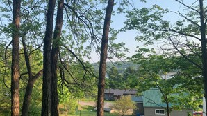 A residential area with tall trees, a grassy field, and a house with a green roof. - Newly remodeled cozy 3BR/1BA home on a hill, minutes from town. (Hancock)